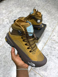 Shoe